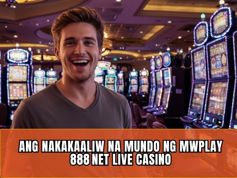 Enter the Realms of Live Play Mwplay888 Nets Live Casino Extravaganza 2